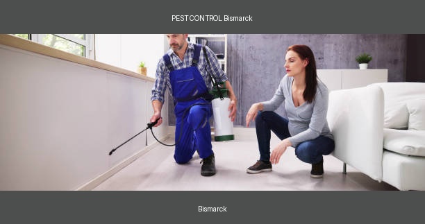 PEST CONTROL Bismarck